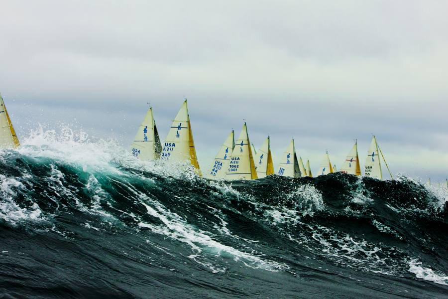 J/80 Worlds
